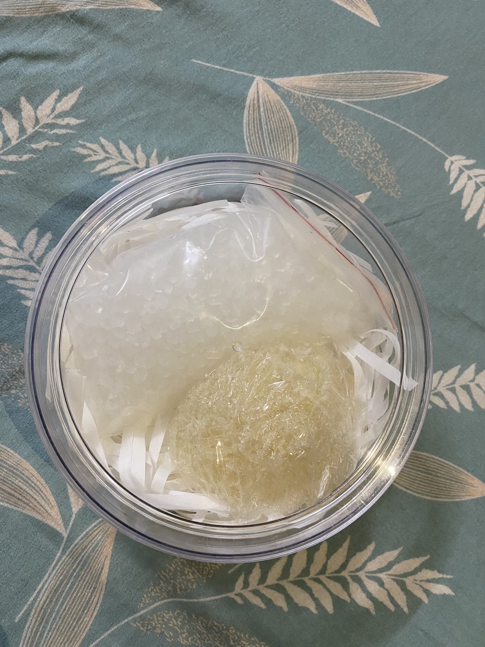 Yến sào vụn nguyên chất