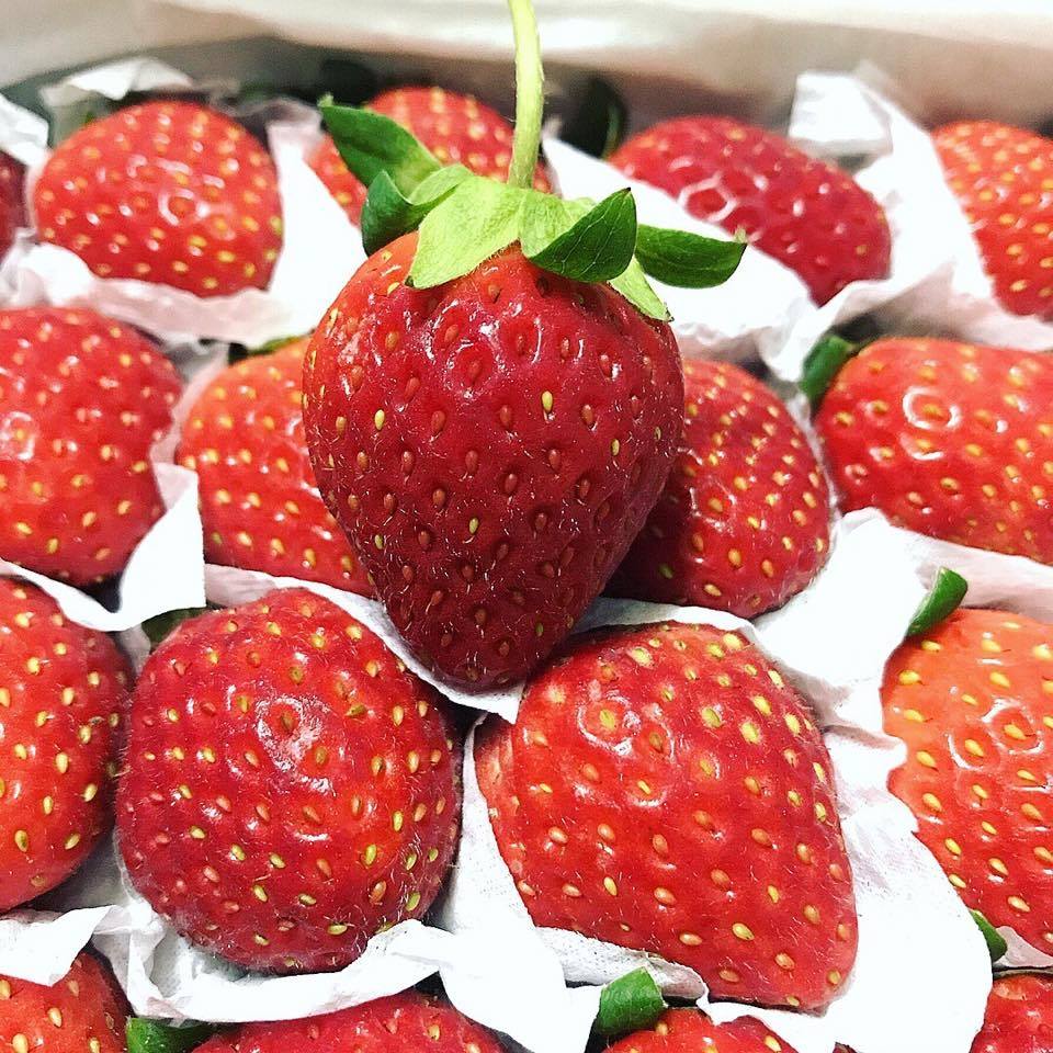 Dâu tây Đà lạt