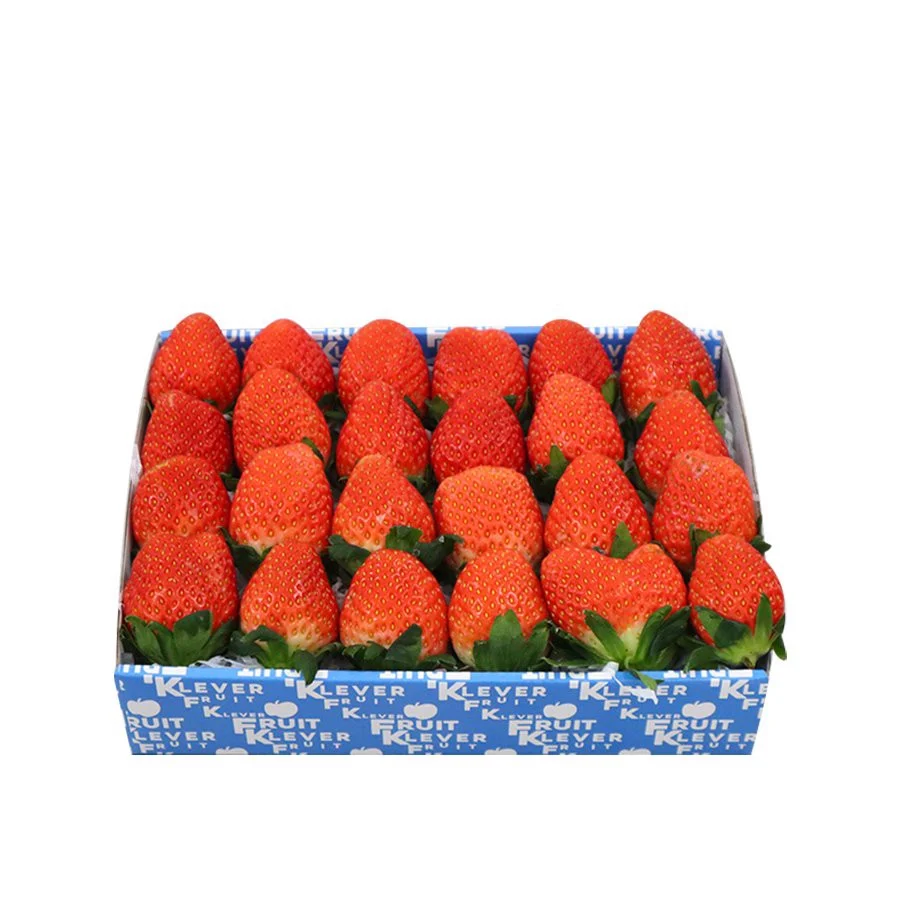 Dâu tây hàn quốc