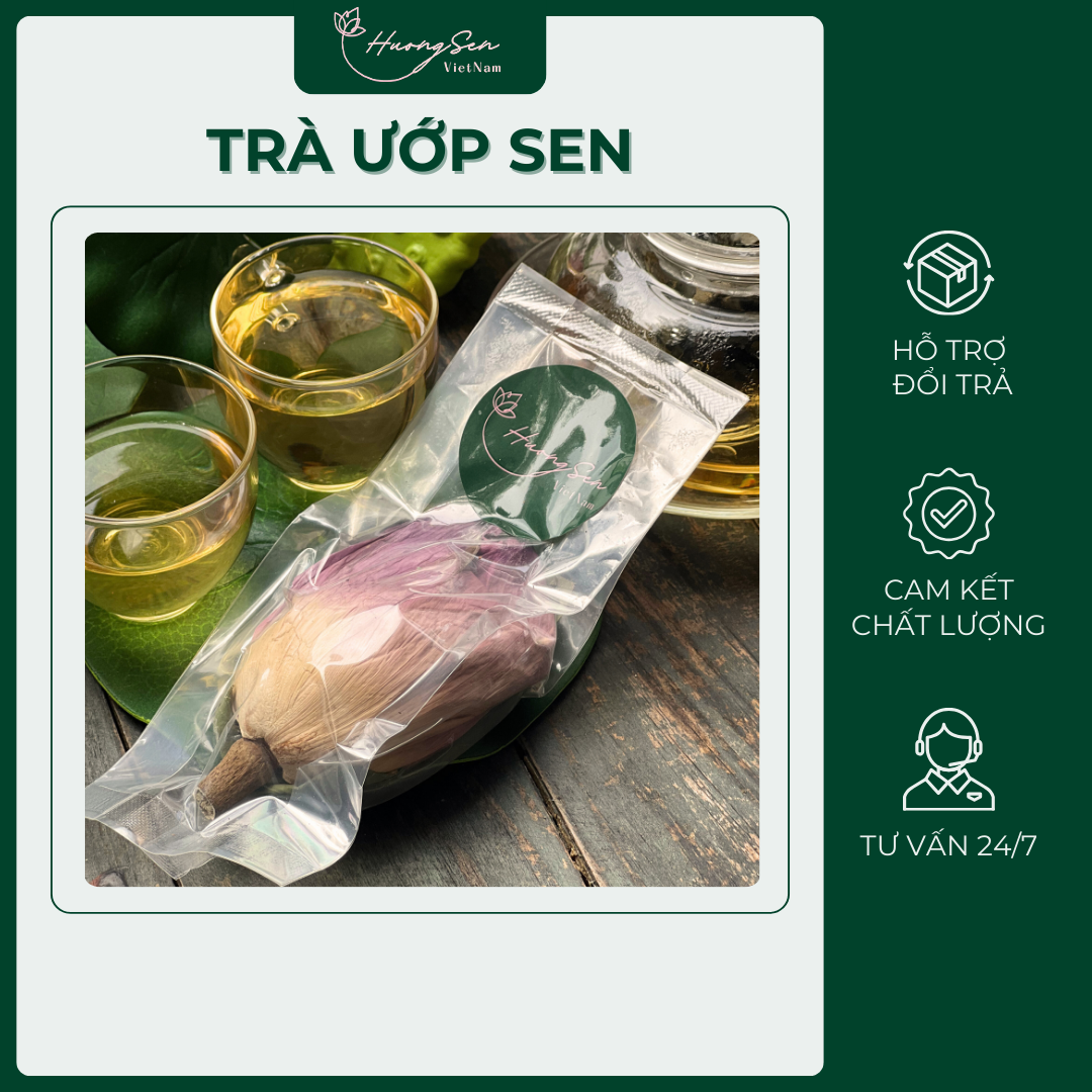 Trà Ướp Sen Giúp Ngủ Ngon, Giảm Stress, Tốt Cho Sức Khỏe