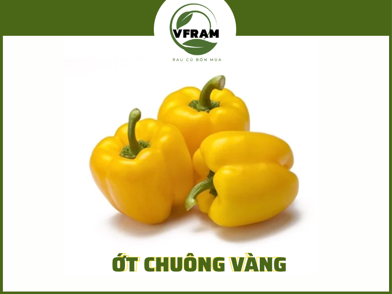 Ớt Chuông Vàng
