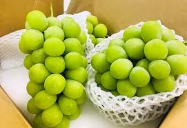 nho xanh siêu Hàn Quốc