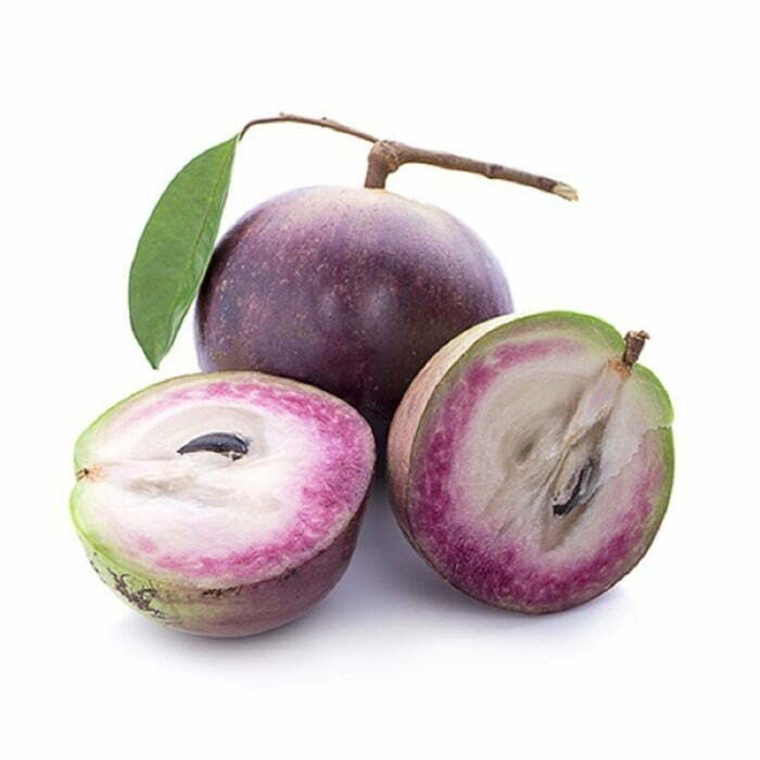 Vú Sữa Lò Rèn - nông trại nhỏ