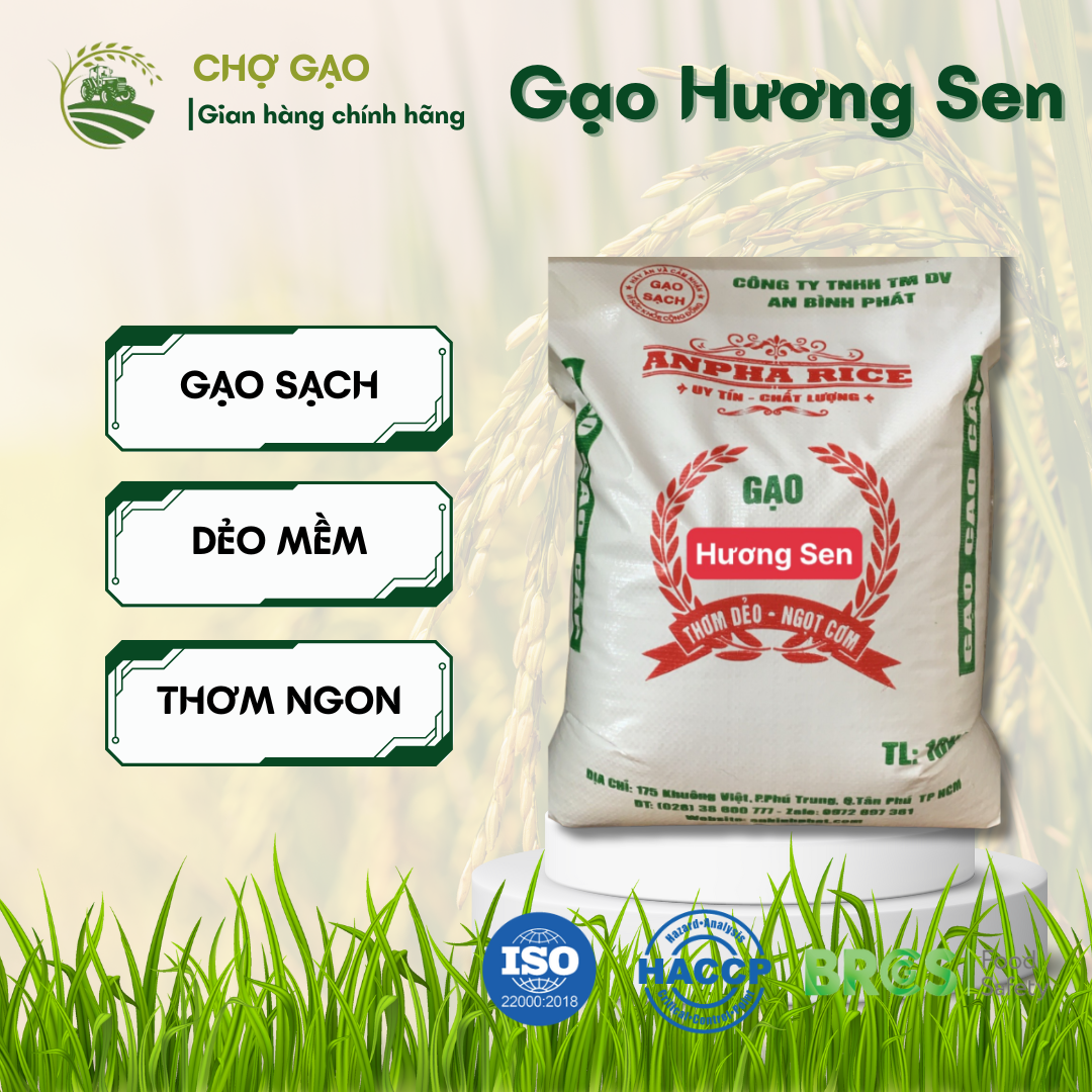 Gạo Hương Sen