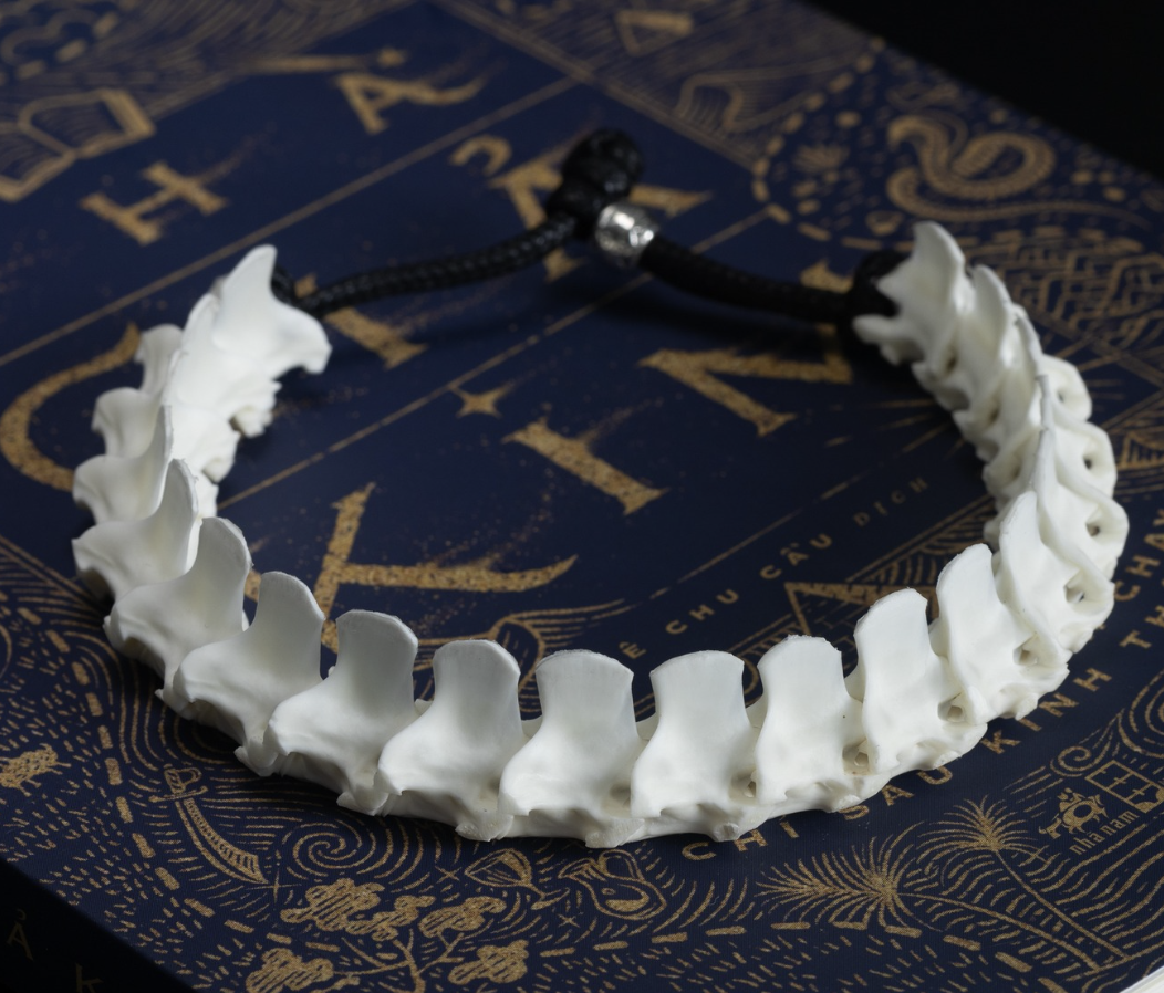 Vòng Tay Xương Rắn Hunter