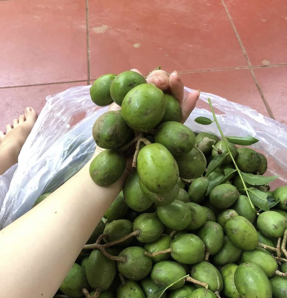 Cóc Non kèm Mắm Ruốc Cần Thơ