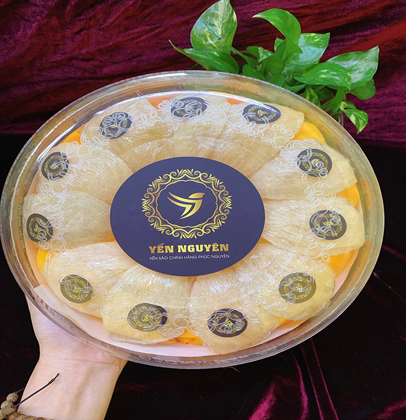 YẾN SÀO RÚT LÔNG ĐỊNH HÌNH KHÔ ĐẶC BIỆT