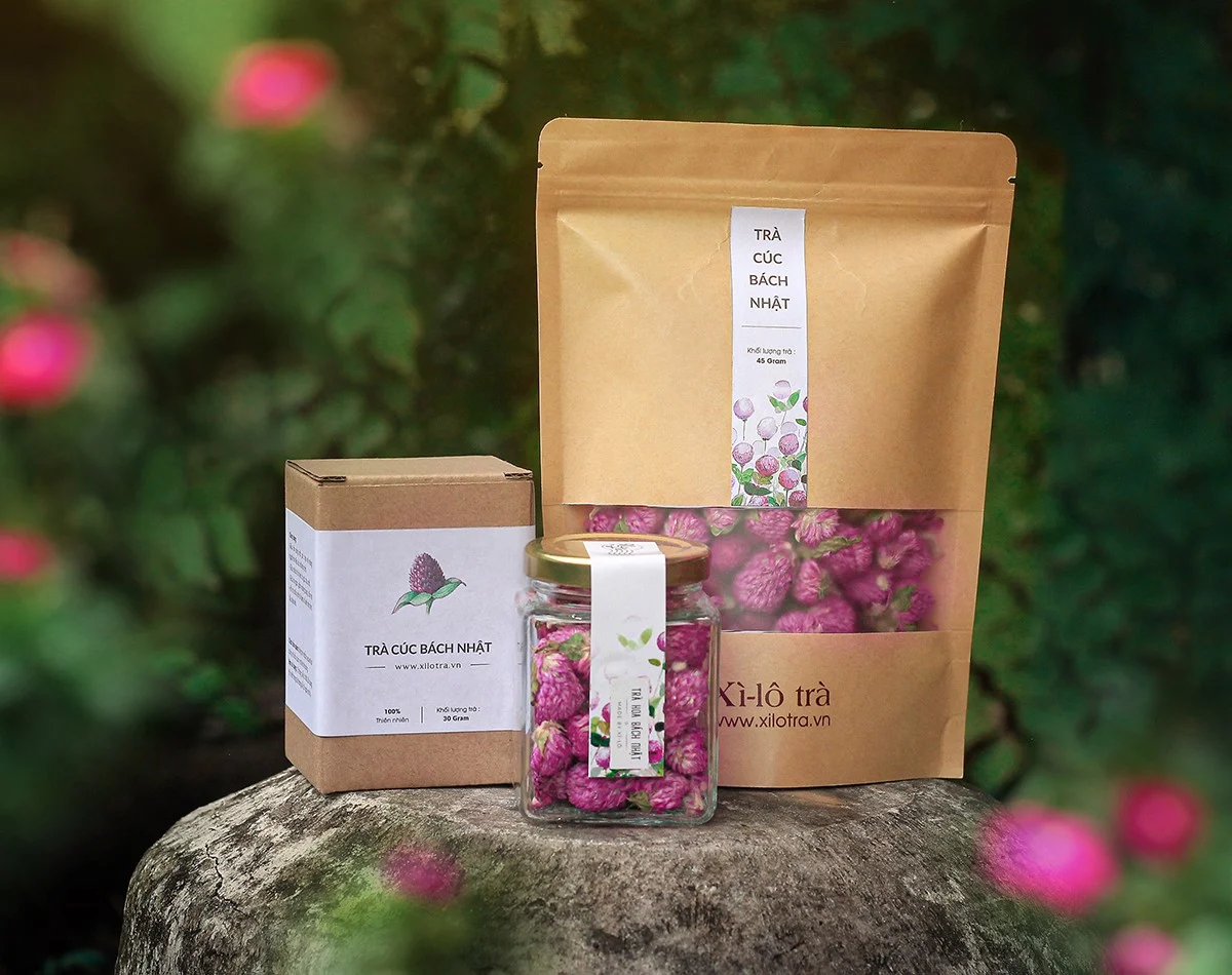 TRÀ HOA CÚC BÁCH NHẬT