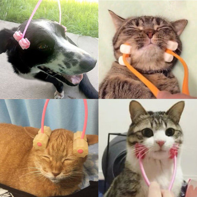 Cây Lăn Mặt Mát-xa Cho Mèo - Giúp Mèo Giảm Stress