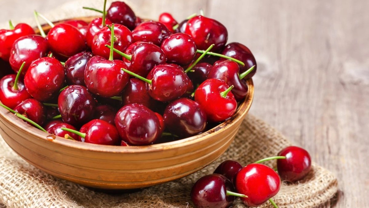Cherry Mỹ