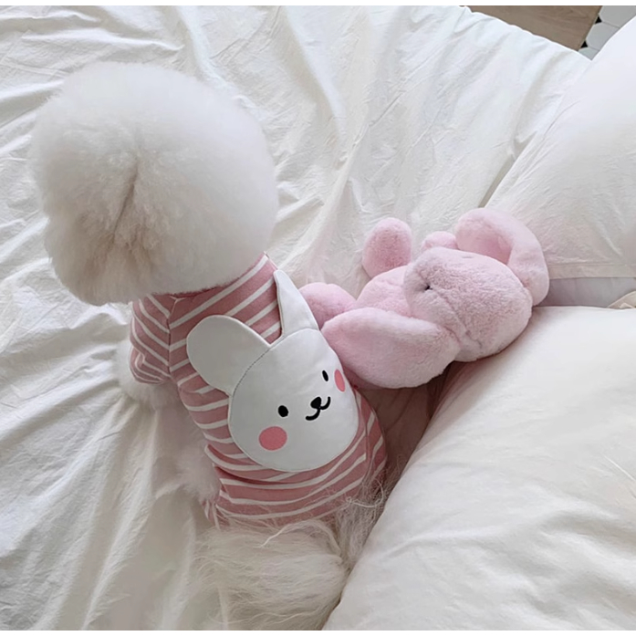 JUM 4 CHÂN GẤU NÂU - THỎ HỒNG ĐÁNG YÊU DỄ THƯƠNG CHO THÚ CƯNG