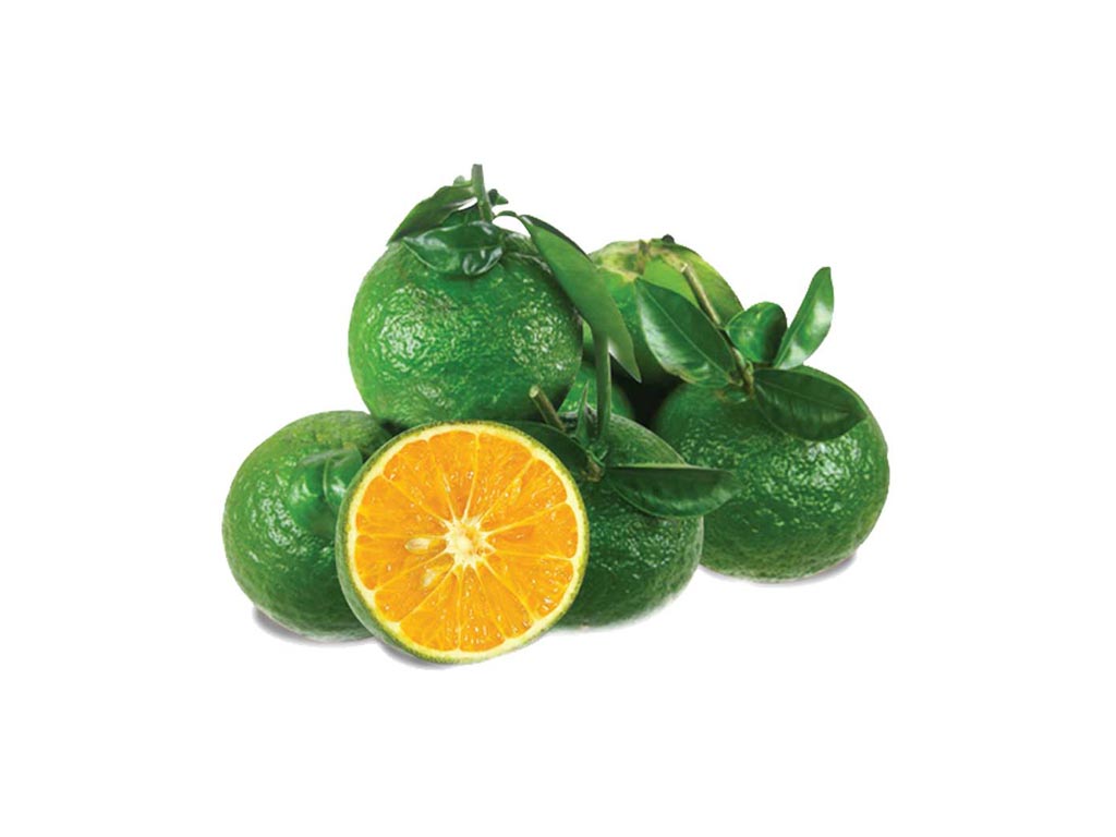 Cam Sành Bến Tre | Trái Cây Tươi