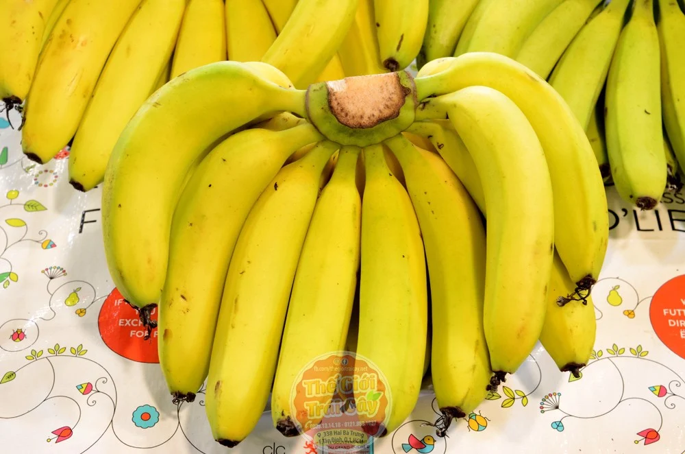 chuối Gìa Hương