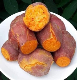 Khoai Lang Mật Luộc Đồng Tháp