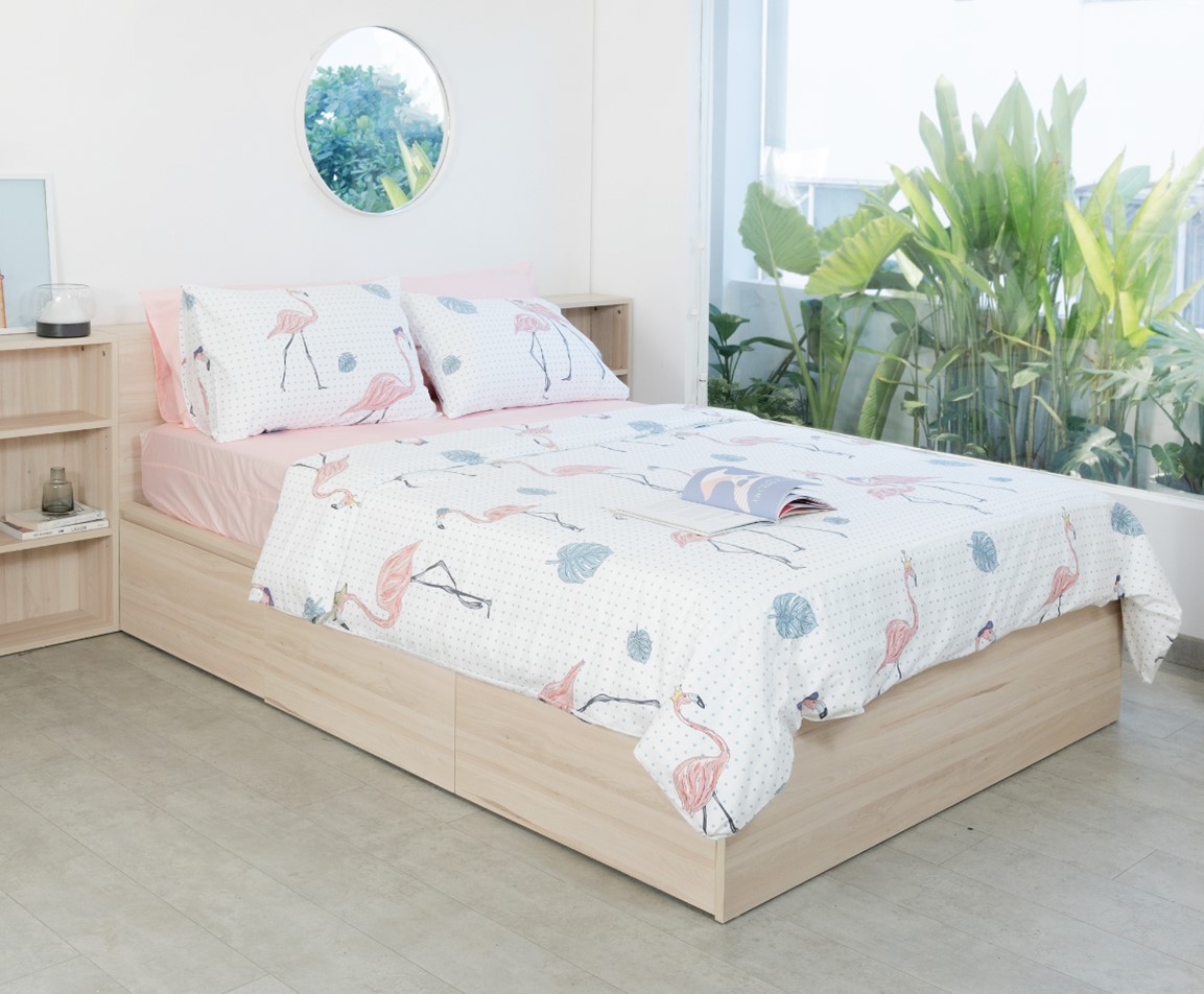 Bộ chăn ga gối Cotton Flami