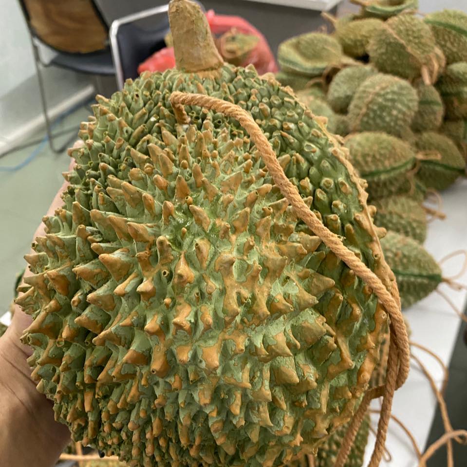 TRÁI SẦU RIÊNG THƠM NGON 1KG