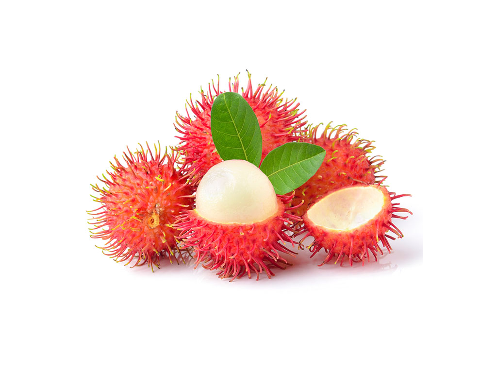 Chôm Chôm Đắk Lắk