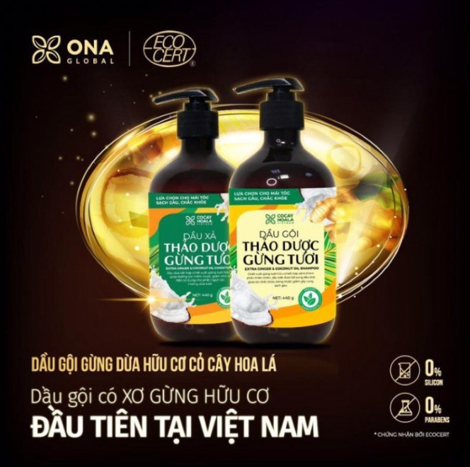 Bộ dầu gội - xả thảo dược gừng dừa