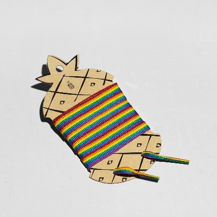 STRIPES SHOELACES – PRIDE FLAG