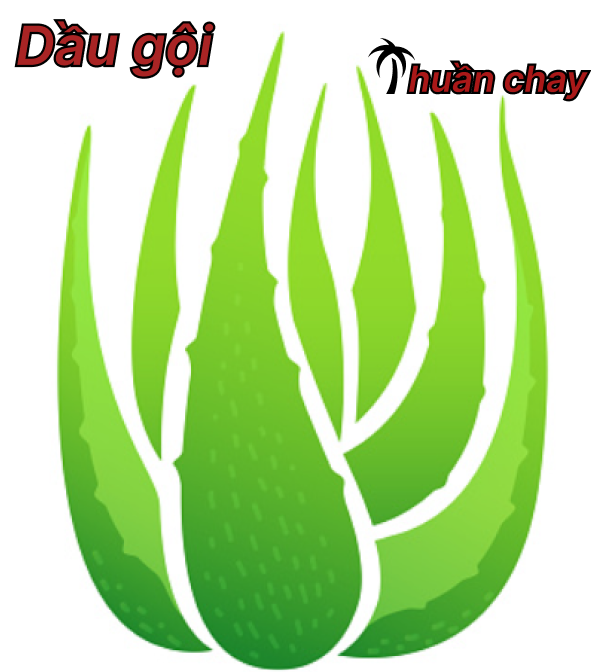 Dầu gội thuần chay