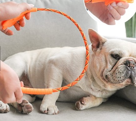 Cây tét đít đánh đít chó mèo dụng cụ huấn luyện thú cưng