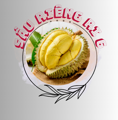 Sầu Riêng Ri 6