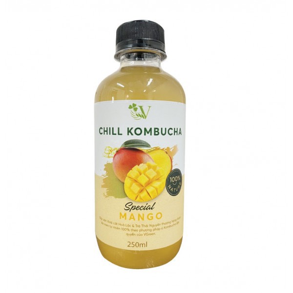 Trà Kombucha Vị Xoài