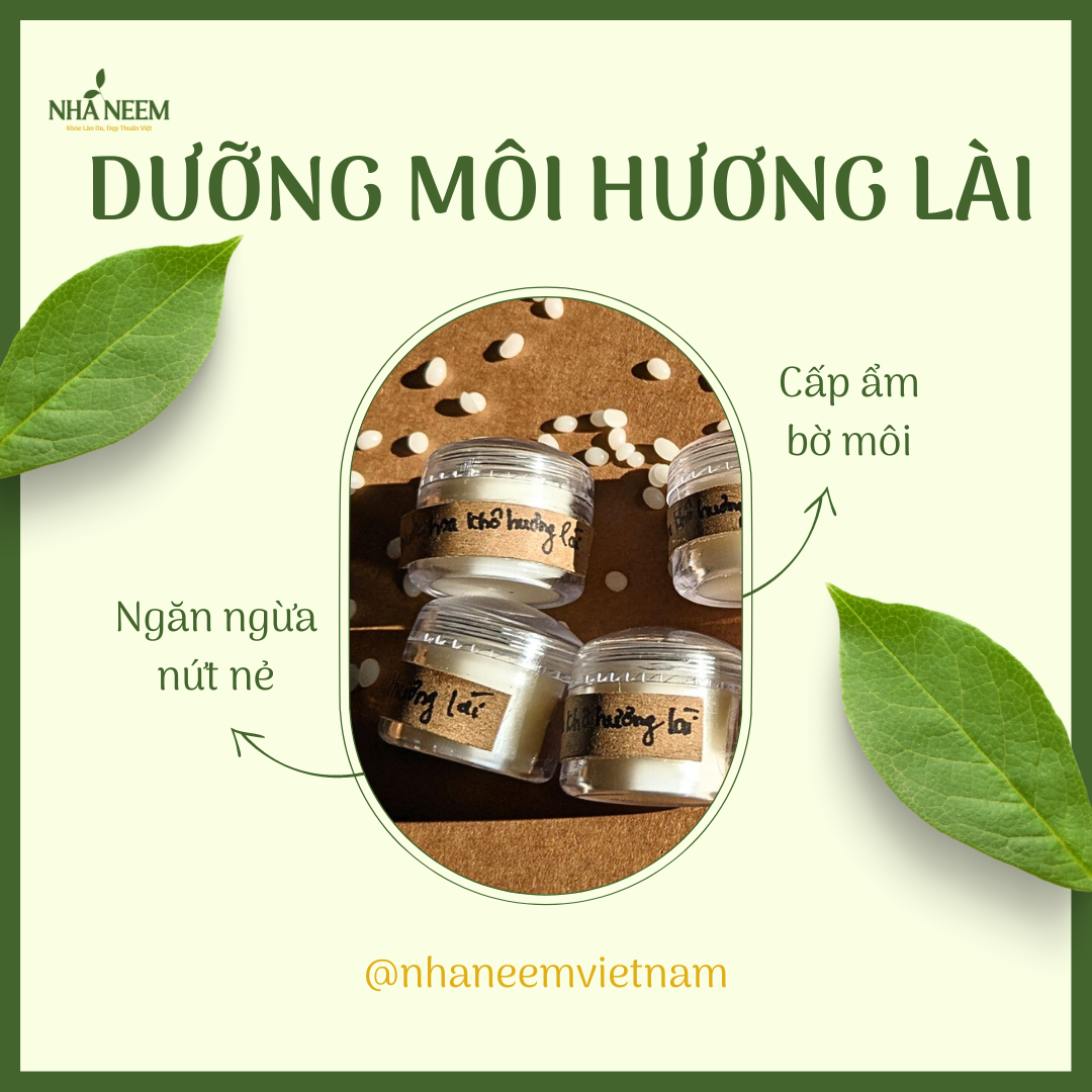Dưỡng môi thuần chay Nhà Neem từ bơ hạt mỡ và dầu [1 hủ]