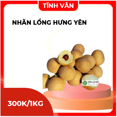 Nhãn Lồng Hưng Yên – Giòn Ngọt Tự Nhiên – Chuẩn Tiến Vua – Tặng Kèm Hộp Quà Sang Trọng – Tĩnh Vân Decor