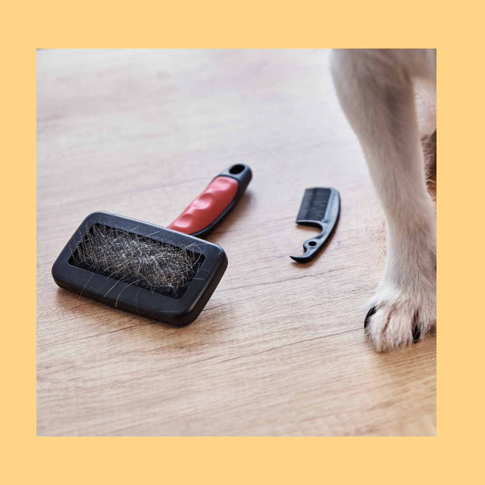 Lược chải lông