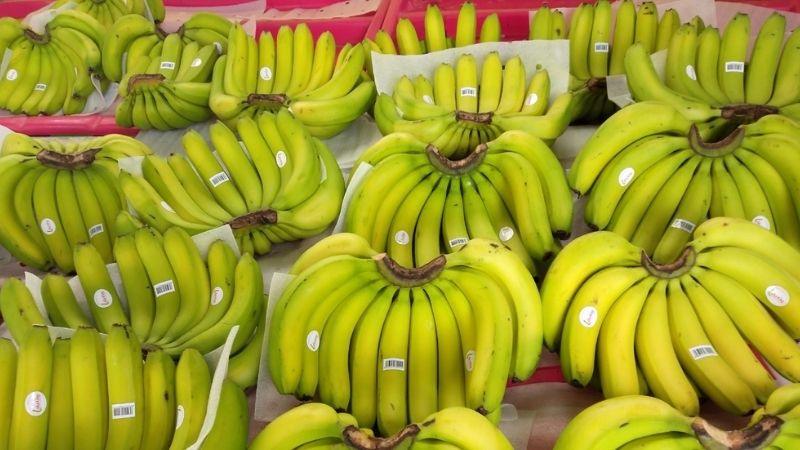 Chuối Laba Đà Lạt