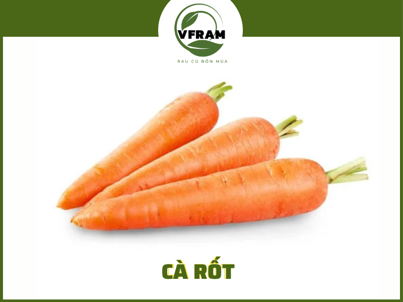 Cà Rốt