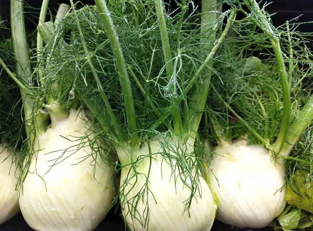 Củ Thì Là Tươi Đà Lạt
