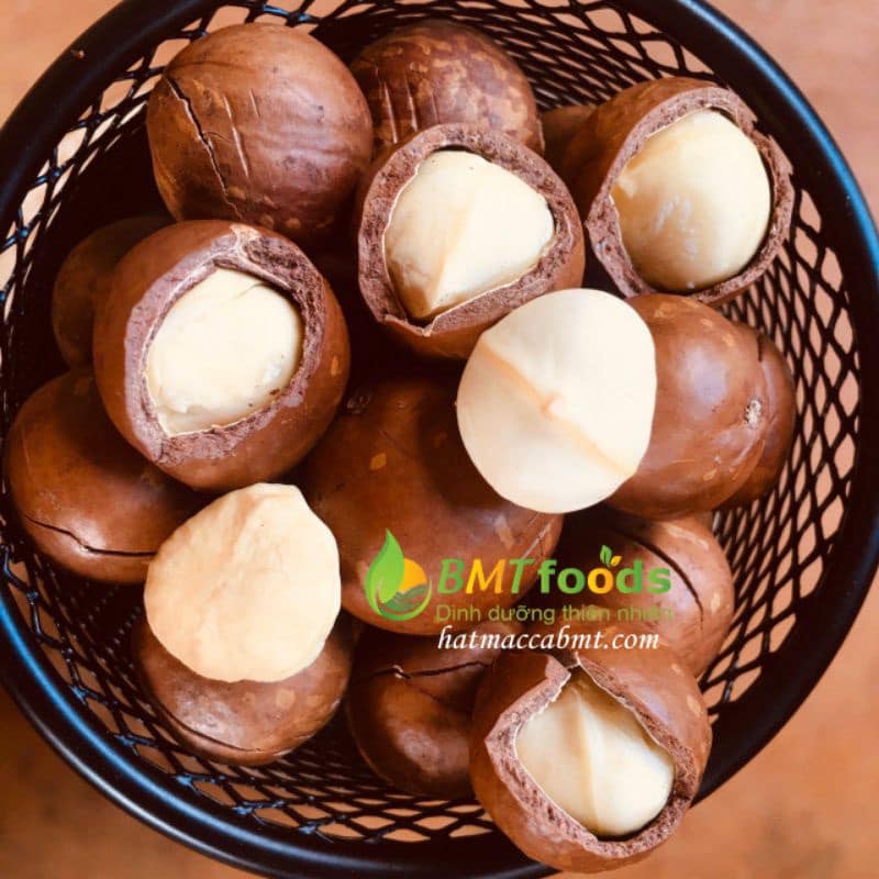 Hạt macca Đăk Lăk loại 1