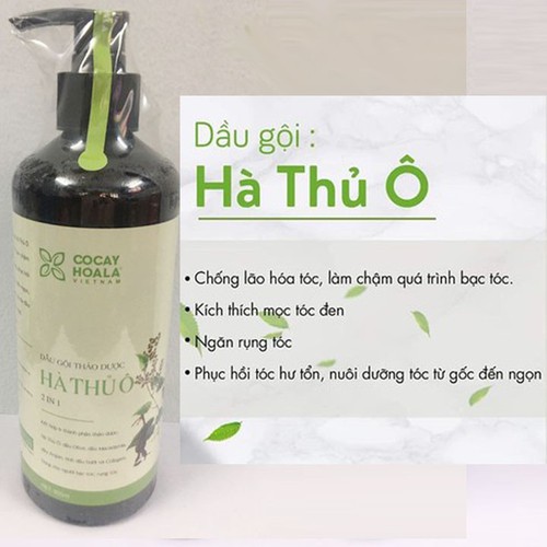Dầu gội thảo dược hà thủ ô