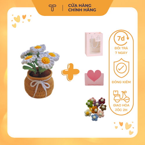 [COMBO 4 MÓN QUÀ TẶNG] Chậu cúc bằng len 4 cành + 2 ghim cài áo hoa len 5 cánh + túi + thiệp