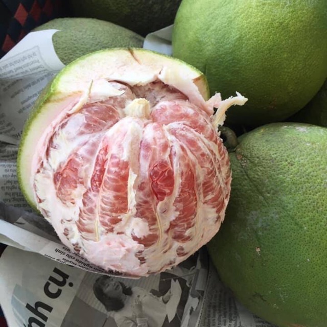 Bưởi Da Xanh Bến Tre