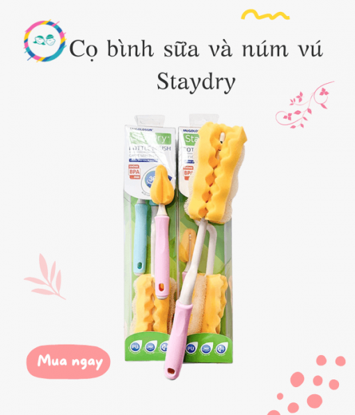 Cọ bình sữa và núm vú Staydry