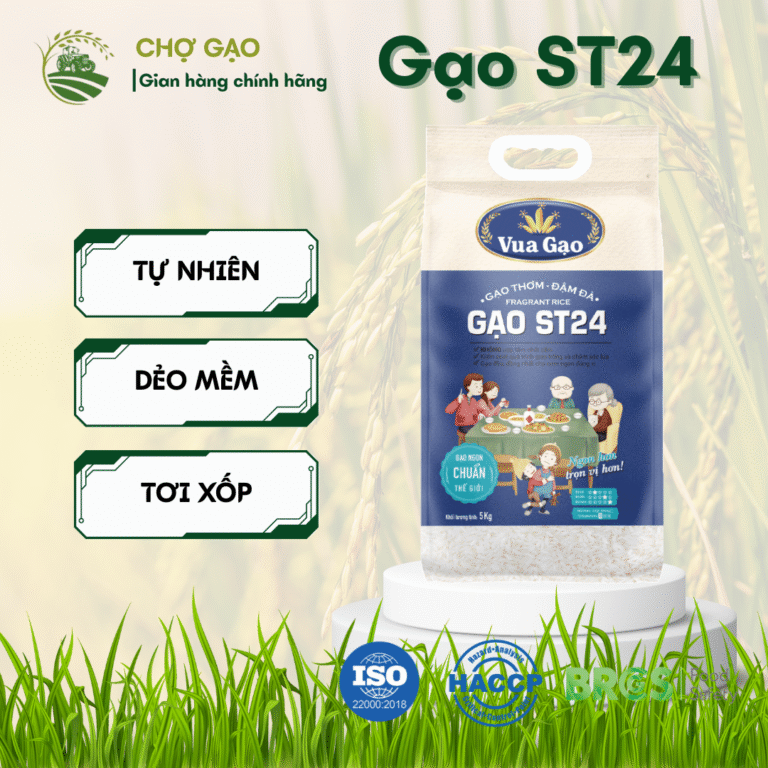 Gạo ST24 Lúa Thường (túi 5kg)