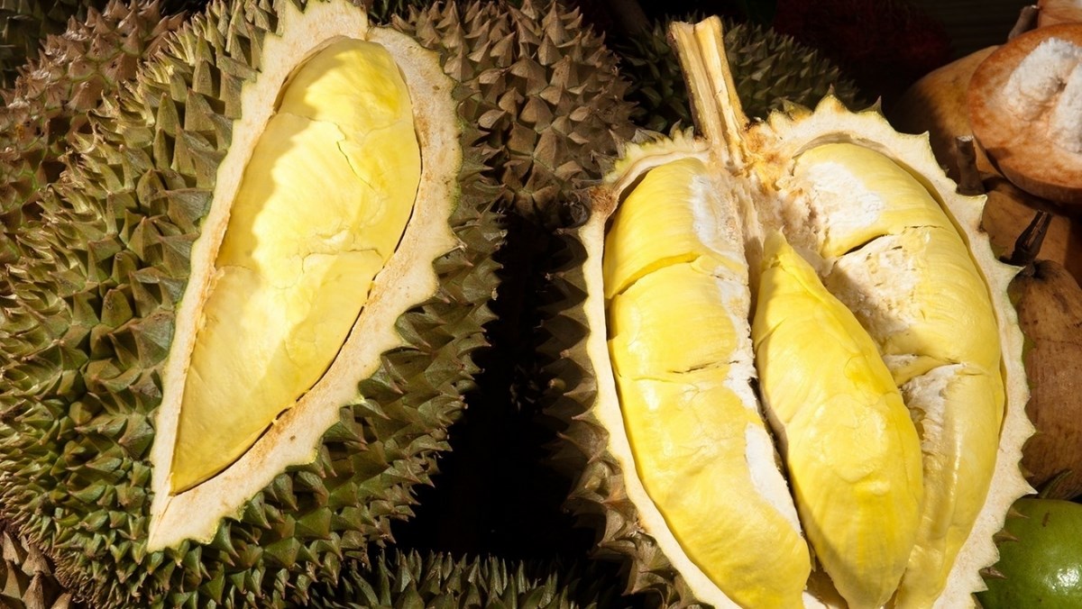 Sầu riêng khổ qua