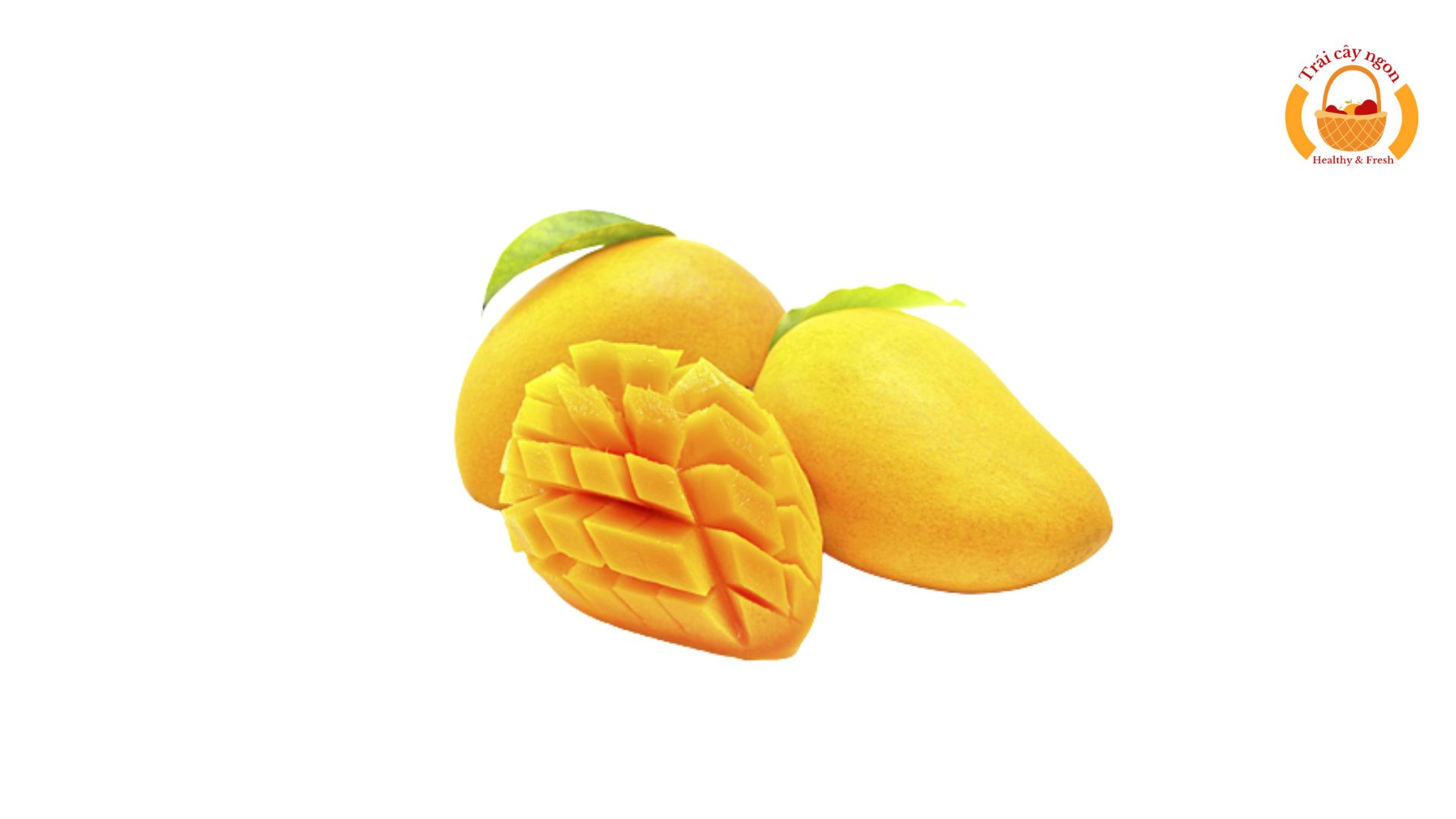 Xoài cát Hòa Lộc