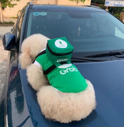 Bộ áo và túi đeo cosplay shipper grab cho thú cưng