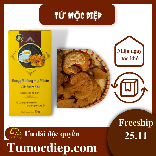 Combo 10g nấm đông trùng hạ thảo khô và 500g nấm hồng chi Tứ Mộc Diệp giúp bồi bổ cơ thể