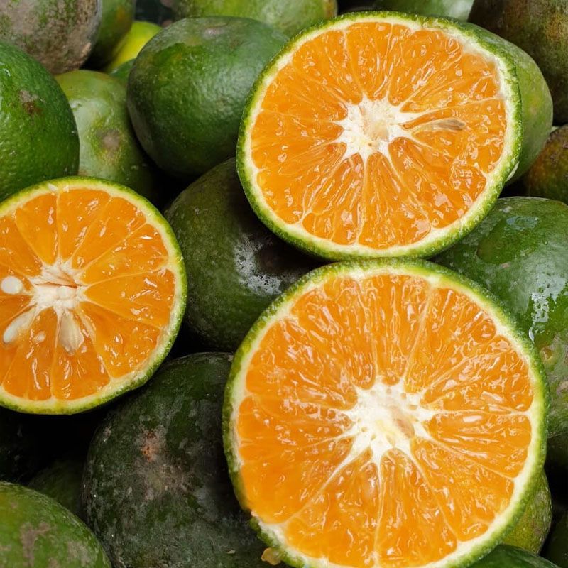 Cam Sành Cần Thơ 1Kg