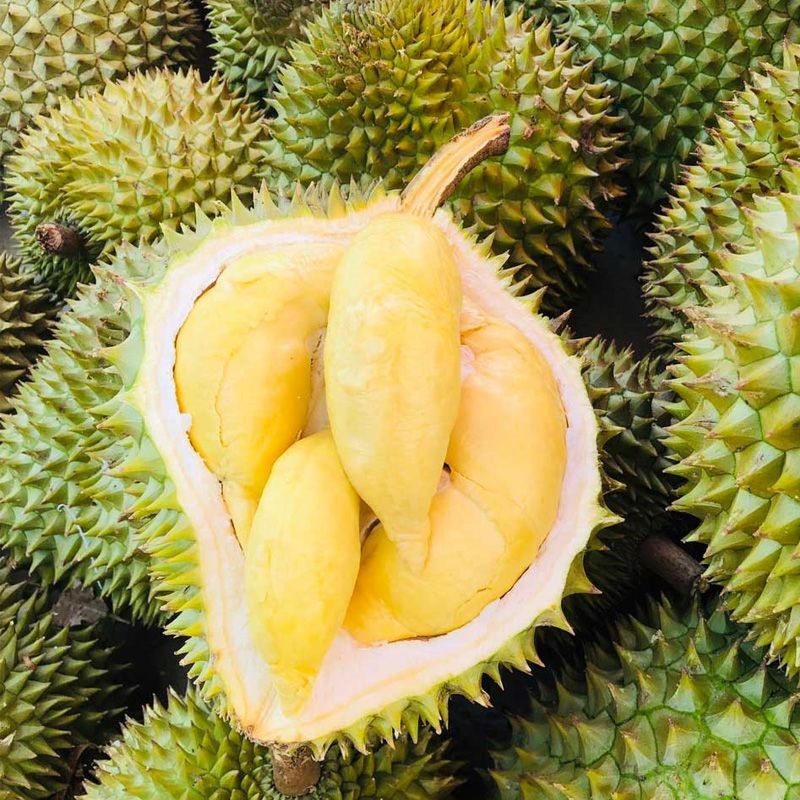 Sầu Riêng Ri6 Loại 2  - Chín Cây, Béo Ngậy