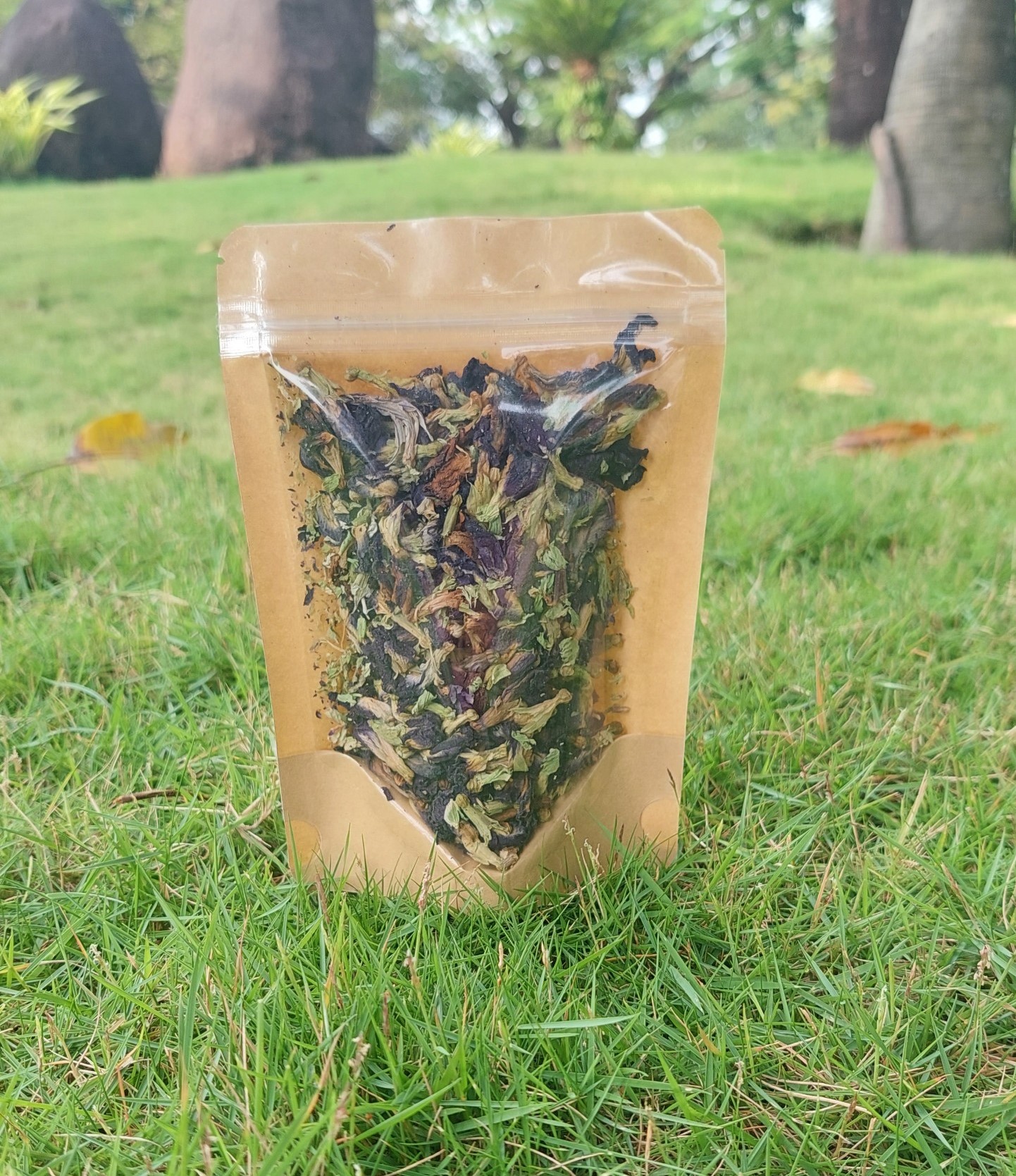 Hoa Đậu Biếc (20g)