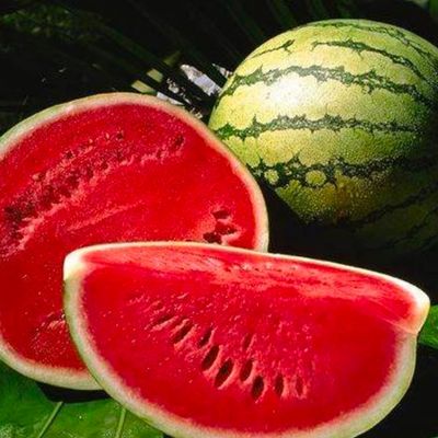 Dưa hấu ruột đỏ