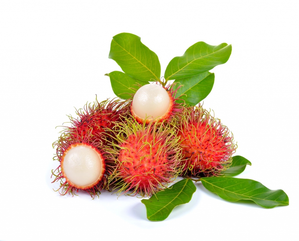 Chôm chôm thái Bến Tre