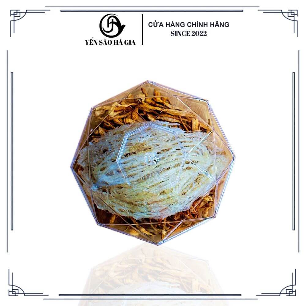 Tai yến rút lông full sợi