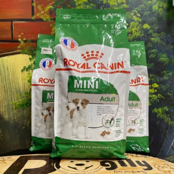 Hạt Royal Canin Mini Adult 2kg dành cho chó